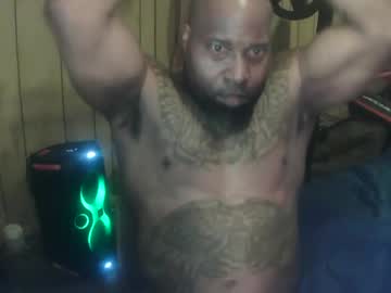 bussitdown 313