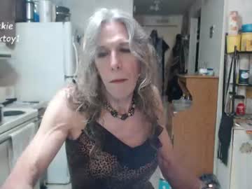 cdsextoy1