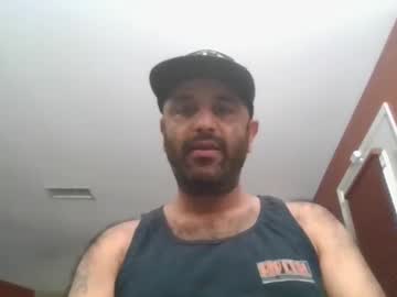 dogdick137680