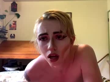 harlequinbussy