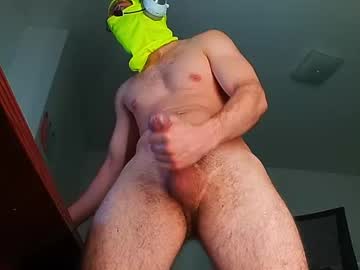 salvek