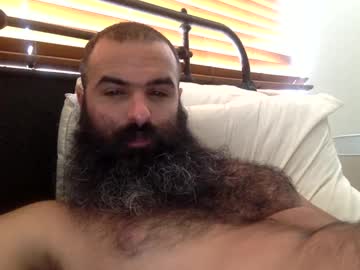 woof wolf37